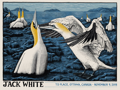 Jack White @ TD Place, Ottawa (Nigel the Lonely Gannet)